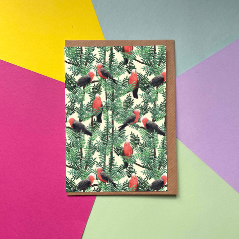Red Galah - Greetings Card