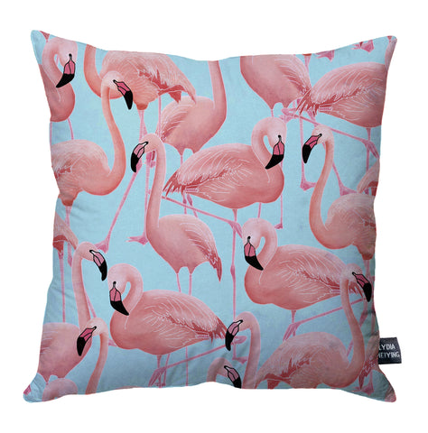 Flamingos