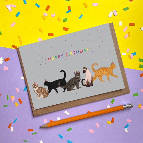 Happy Birthday Cats  - Greetings Card