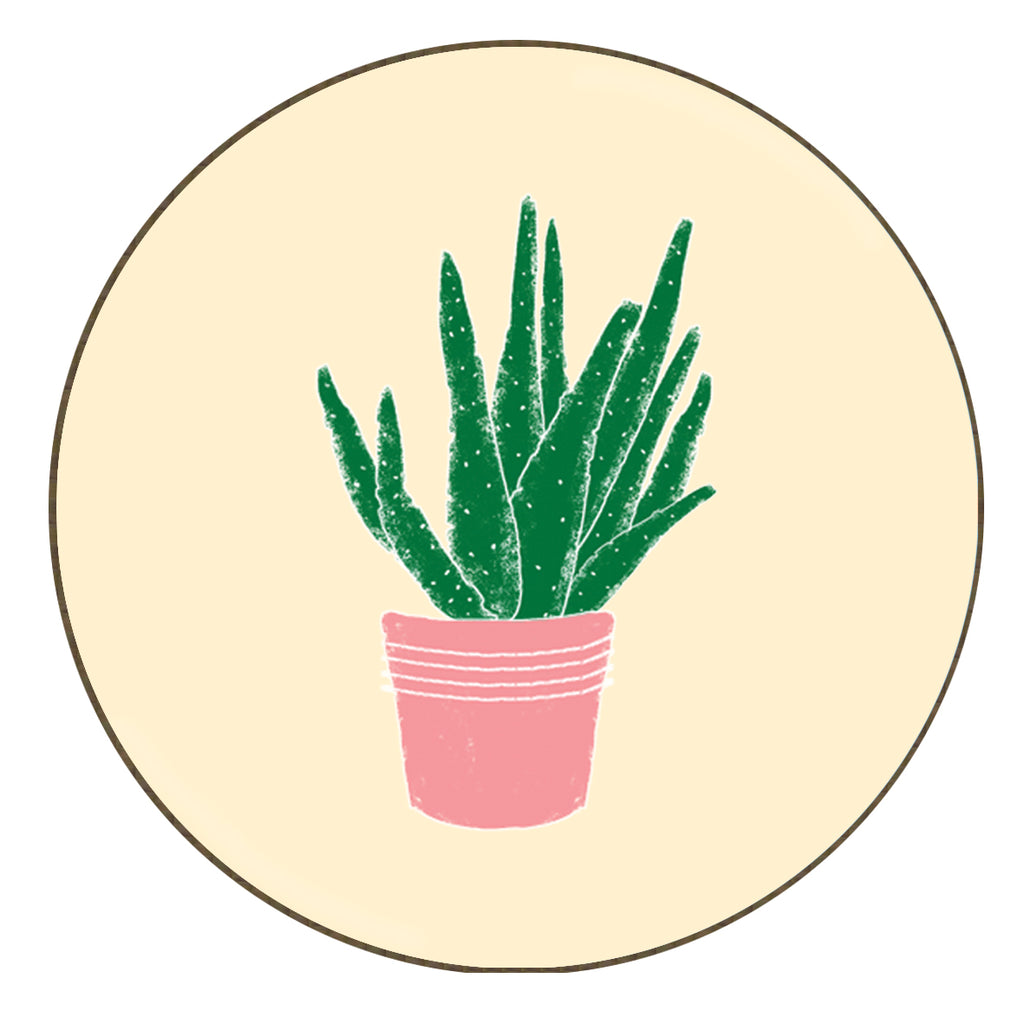 Succulent 1 - Coaster