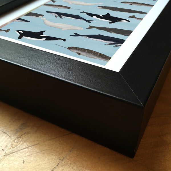 Whales - Framed Mini Print